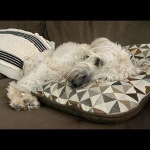 Meet your Posher, Sylvia